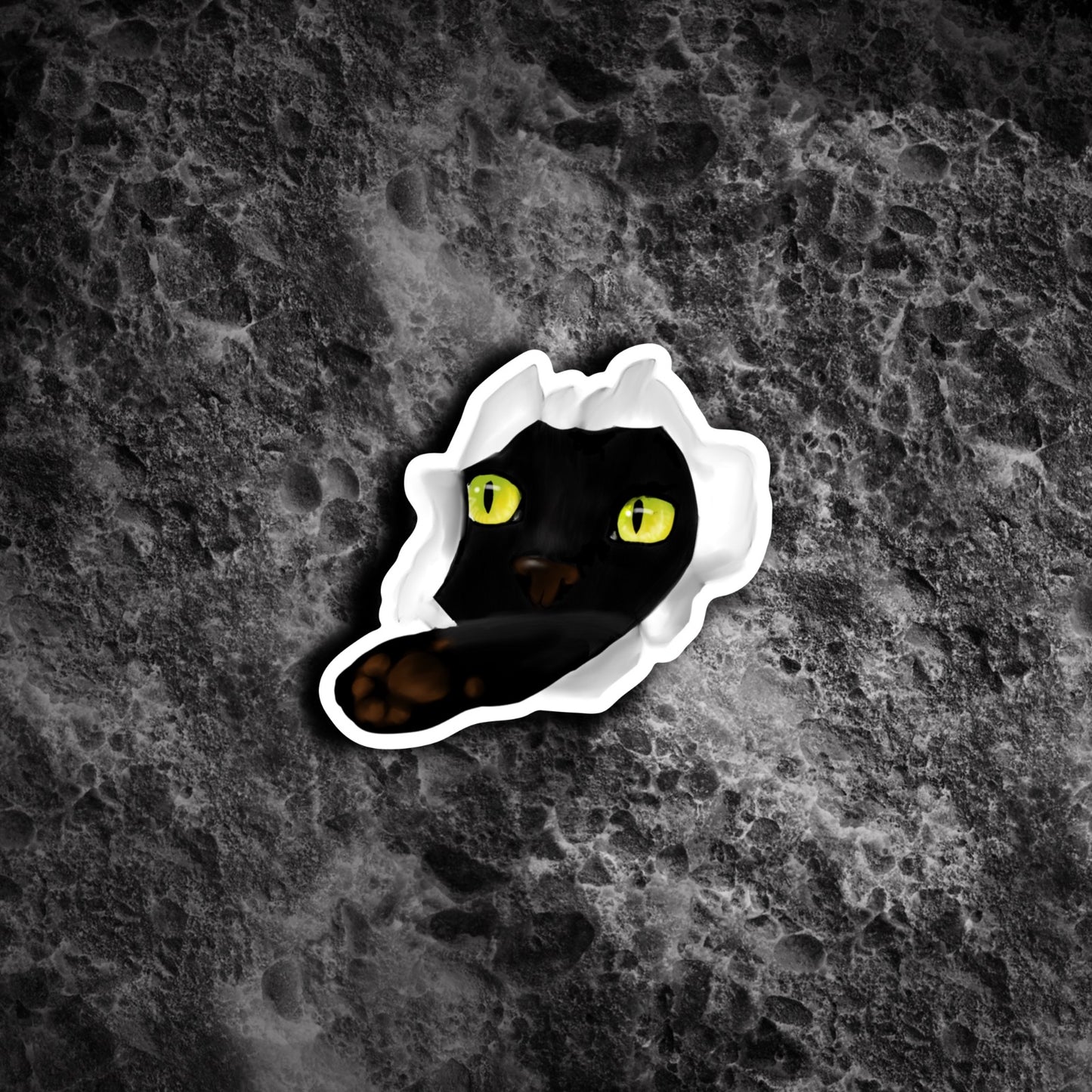 "Black cat" waterproof sticker